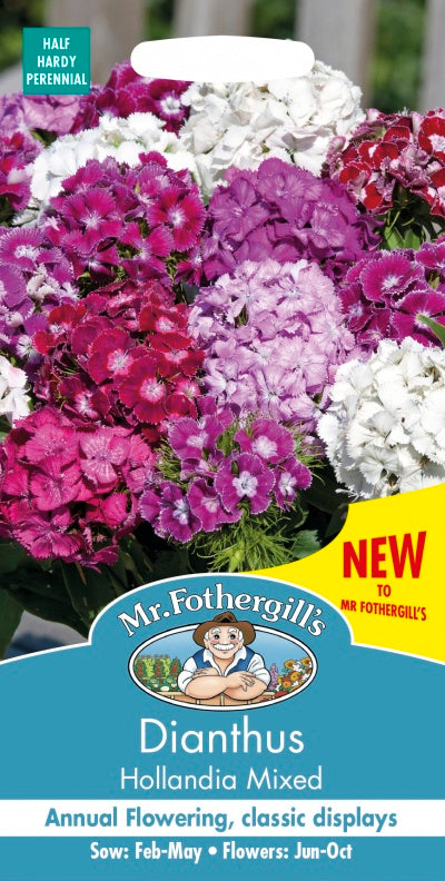 Mr Fothergills Dianthus Hollandia Mix Seeds