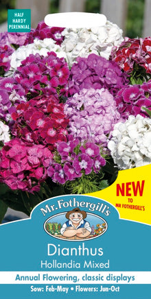 Mr Fothergills Dianthus Hollandia Mix Seeds