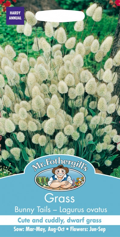 Mr Fothergills GRASS Bunny Tails Lagurus ovatus Seeds