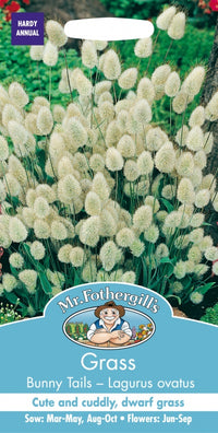 Mr Fothergills GRASS Bunny Tails Lagurus ovatus Seeds