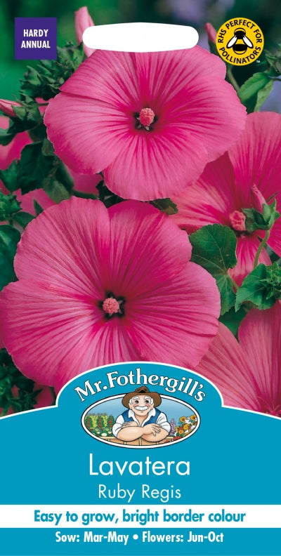 Mr Fothergills Lavatera Ruby Regis Seeds