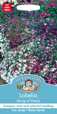 Mr Fothergills Lobelia String Of Pearls Seeds