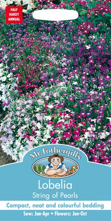Mr Fothergills Lobelia String Of Pearls Seeds