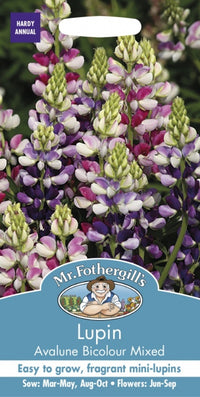 Mr Fothergills Lupin Avalune Bicolour Mix Seeds