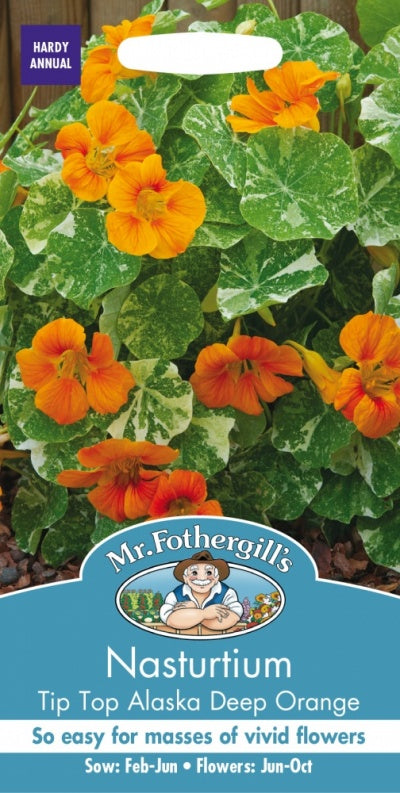 Mr Fothergills Nasturtium Alaska Tip Top Deep Orange Seeds