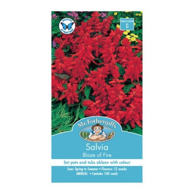 Mr Fothergills SALVIA Blaze of Fire Seeds