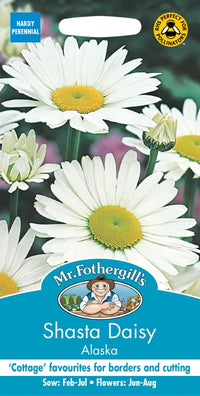 Mr Fothergills Shasta Daisy Alaska Seeds