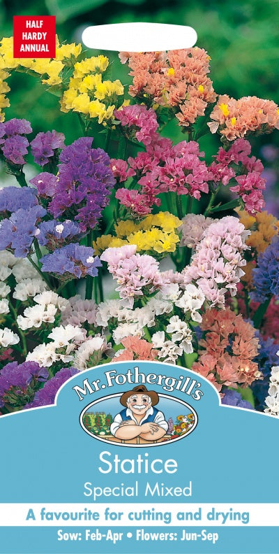 Mr Fothergills Statice Special Mixed Seeds