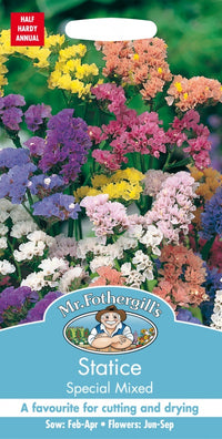 Mr Fothergills Statice Special Mixed Seeds