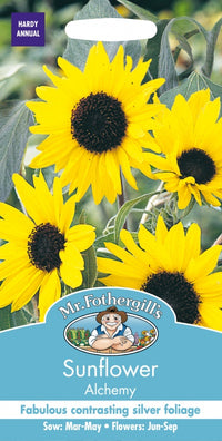 Mr Fothergills SUNFLOWER Alchemy Seeds