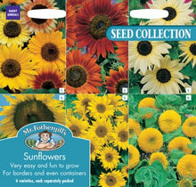 Mr Fothergills Sunflowers Collection