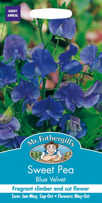 Mr Fothergills Sweet Pea Blue Velvet Seeds