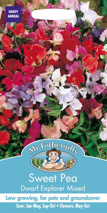 Mr Fothergills Sweet Pea Dwarf Explorer Mixed Seeds