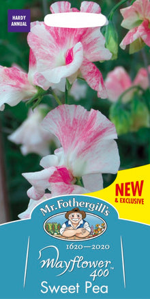 Mr Fothergills Sweet Pea Mayflower 400 Seeds