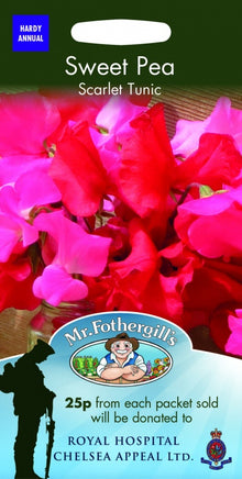 Mr Fothergills Sweet Pea Scarlet Tunic Seeds