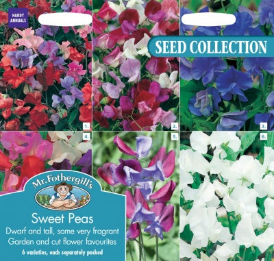 Mr Fothergills Sweet Peas Collection Seeds