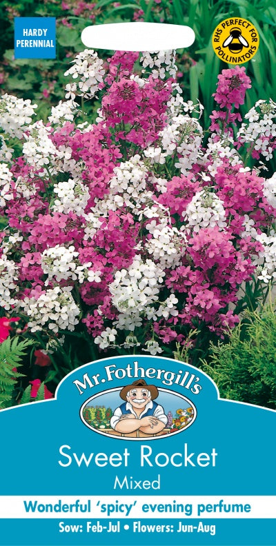 Mr Fothergills Sweet Rocket Mixed Seeds