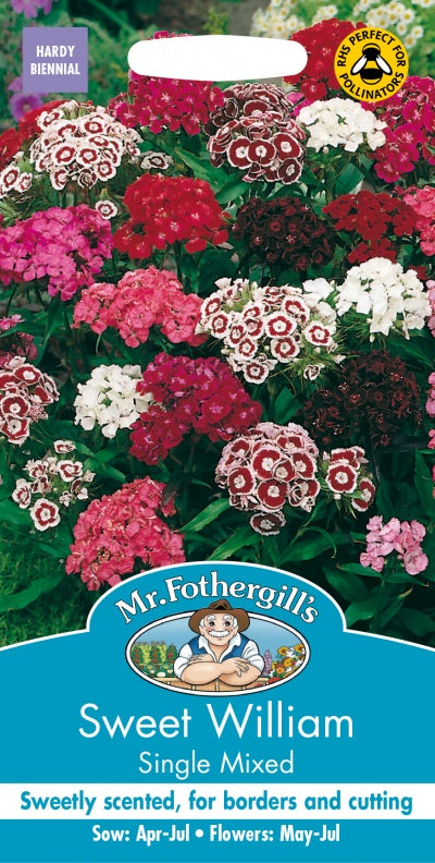 Mr Fothergills Sweet William Single Mixed Seeds
