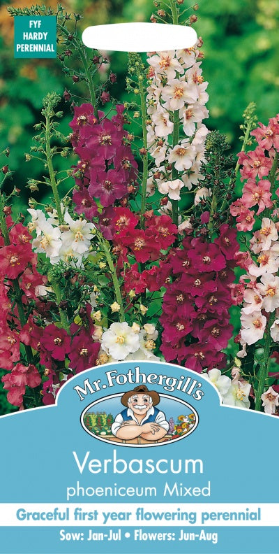 Mr Fothergills Verbascum Phoeniceum Mixed Seeds