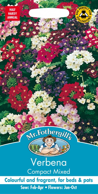 Mr Fothergills Verbena Compact Mixed Seeds