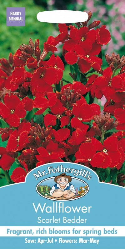 Mr Fothergills Wallflower Scarlet Bedder Seeds