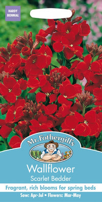 Mr Fothergills Wallflower Scarlet Bedder Seeds
