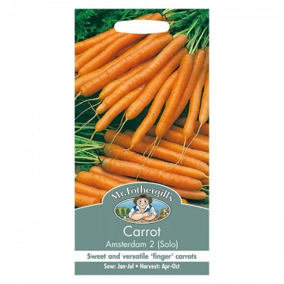 Mr Fothergills CARROT Amsterdam (Solo) Seeds