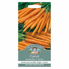 Mr Fothergills CARROT Amsterdam (Solo) Seeds