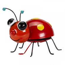 Looney Ladybug Decor Large
