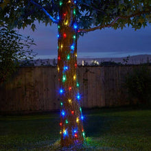 100 Multi-coloured Firefly Solar Strings