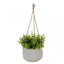 Deco Pot