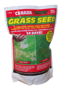 Canada Grass Grass Seed 1kg