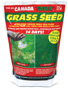 Canada Green Grass Seed 500g
