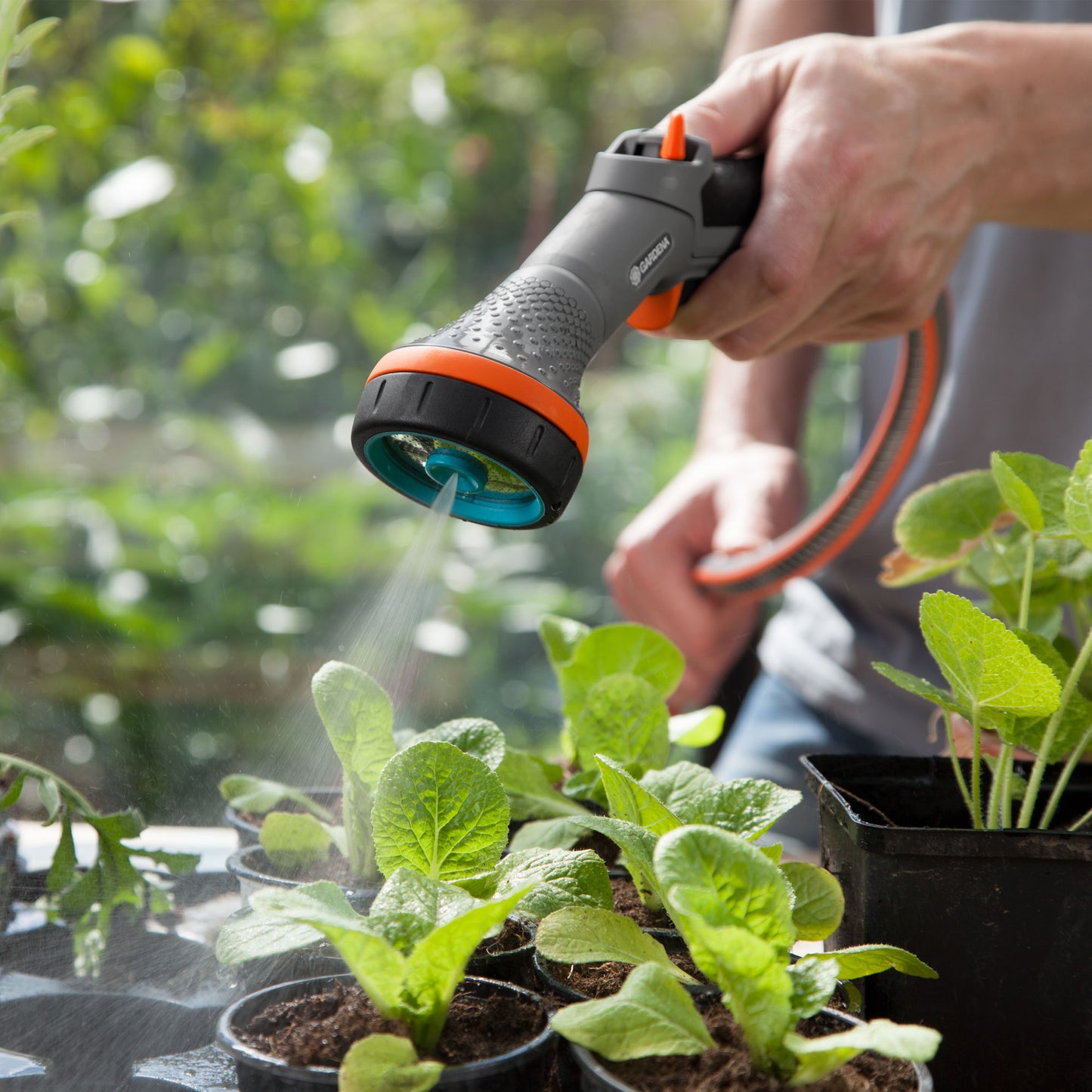 Comfort 2 Mode Sensitive Plant Sprayer