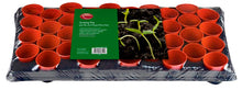 Ambassador Growing Tray