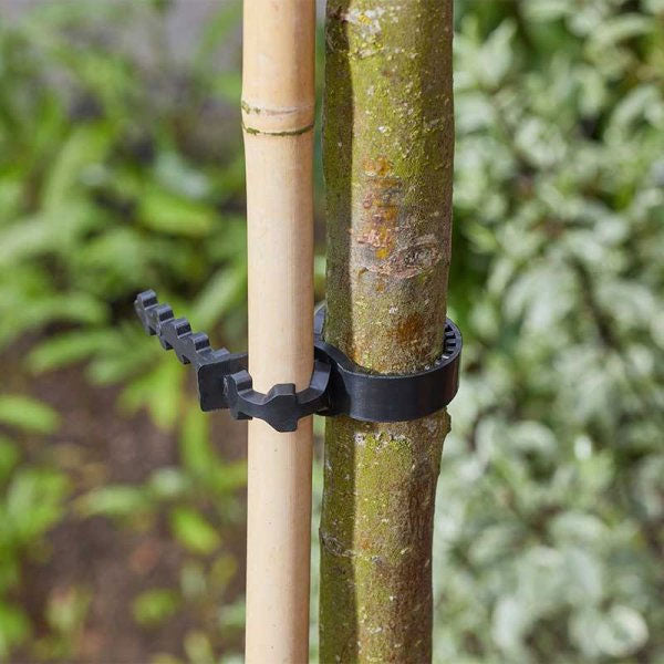 Tree Ties 50cm
