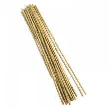 Bamboo Support Canes Bundle 90cm