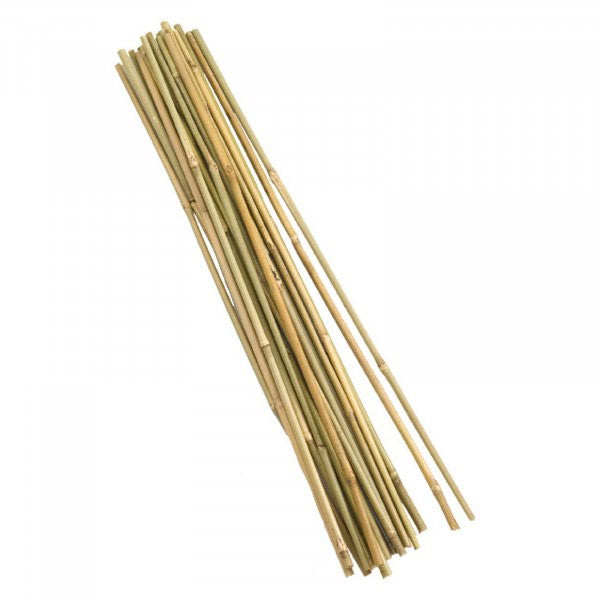 Bamboo Support Canes Bundle 90cm