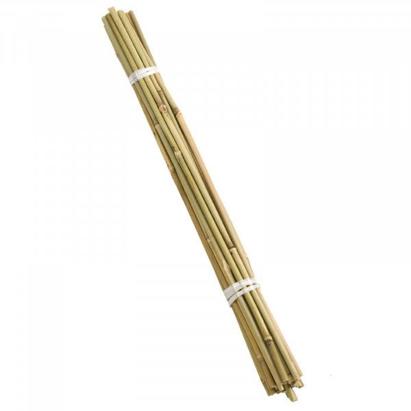 Bamboo Support Canes Bundle 90cm
