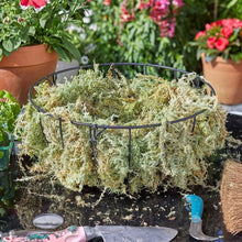 Sphagnum Moss Basket Liner - Jumbo
