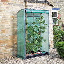 Tomato Growbag GroZone Pop-up Greenhouse