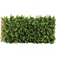 Lemon Leaf Willow Trellis Privacy Screen 180 x 60 cm