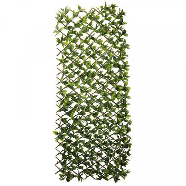 Lemon Leaf Willow Trellis Privacy Screen 180 x 60 cm