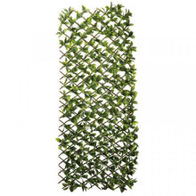Lemon Leaf Willow Trellis Privacy Screen 180 x 60 cm