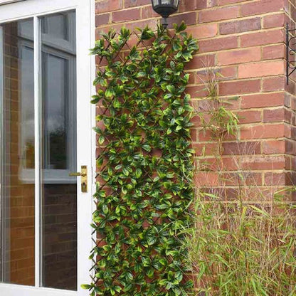 Lemon Leaf Willow Trellis Privacy Screen 180 x 60 cm