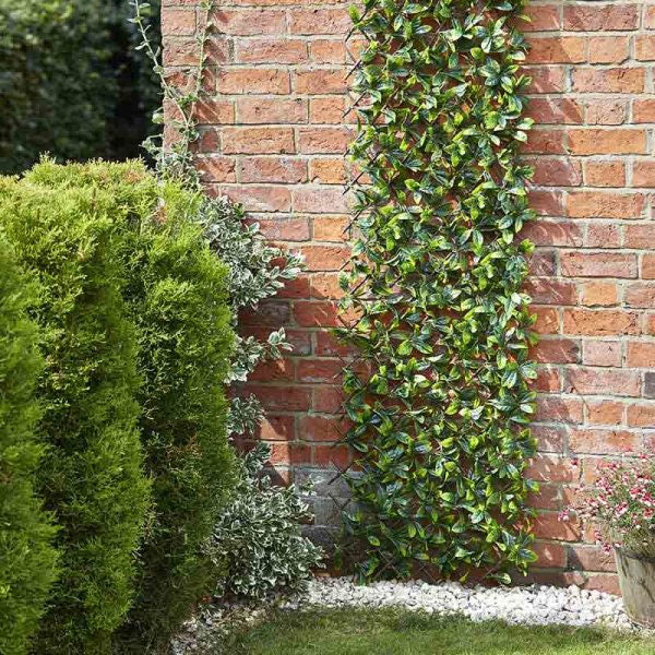 Lemon Leaf Privacy Screening Trellis 180 x 90cm