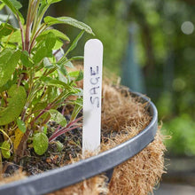 Plant Labels 12.5cm - 100 Pack