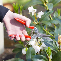 GardenSnips Precision Snips