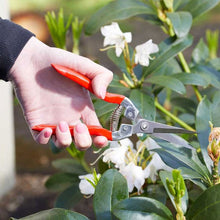 GardenSnips Precision Snips