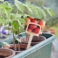 Wooden T Plant Labels 12.5cm - 10 Pack